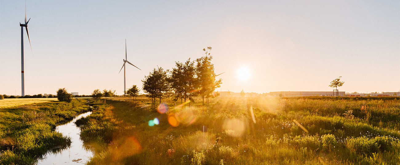 Windräder im Gewerbepark Hansalinie - Quelle: WFB/Jonas Ginter