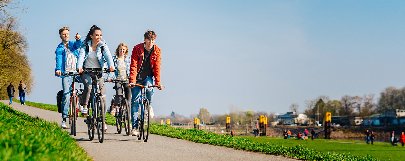 Vier Fahrradfahrer:innen fahren bei sonnigem Wetter über den Osterdeich. - Quelle: WFB