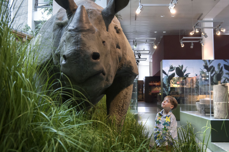 Die Asien-Ausstellung im Bremer Übersee-Museum Die Asien-Ausstellung im Bremer Übersee-Museum