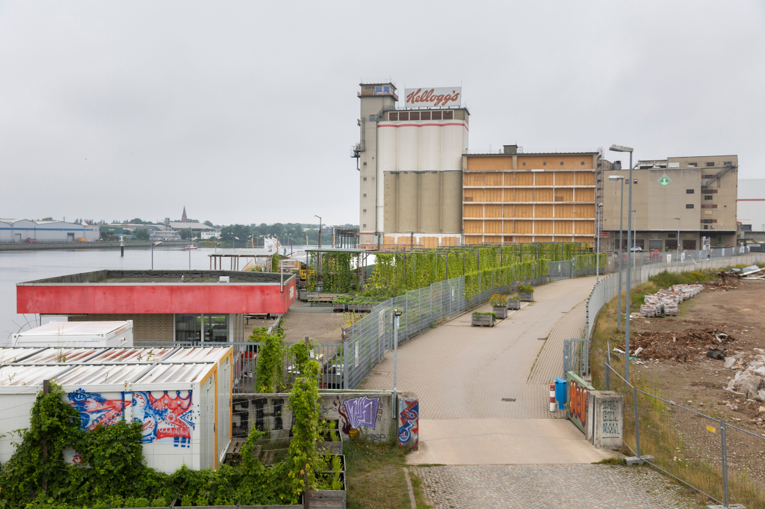 Im Biergarten der Gemüsewerft auf dem ehemaligen Kellogg‘s-Werk wächst sogar Hopfen.