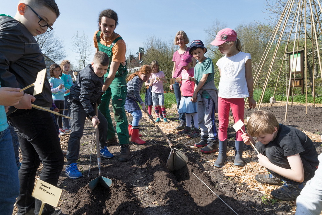 Vom Pflanzen bis zum Ernten: Die Bremer Schulklasse nimmt am Kartoffelprojekt im FlorAtrium teil.