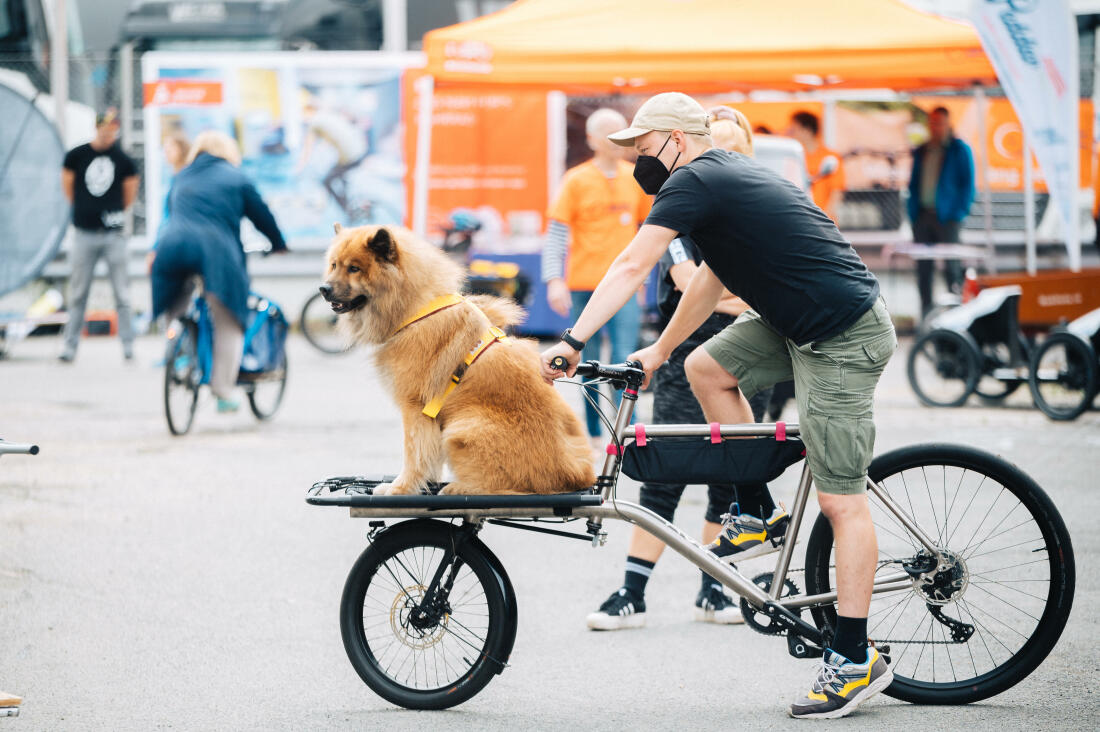 Radfahrer Zählen - Radfahrer ein Radfahren Zähler im Zentrum von