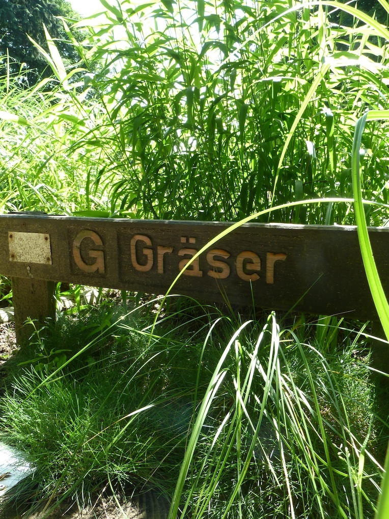 Gräser mit Schild