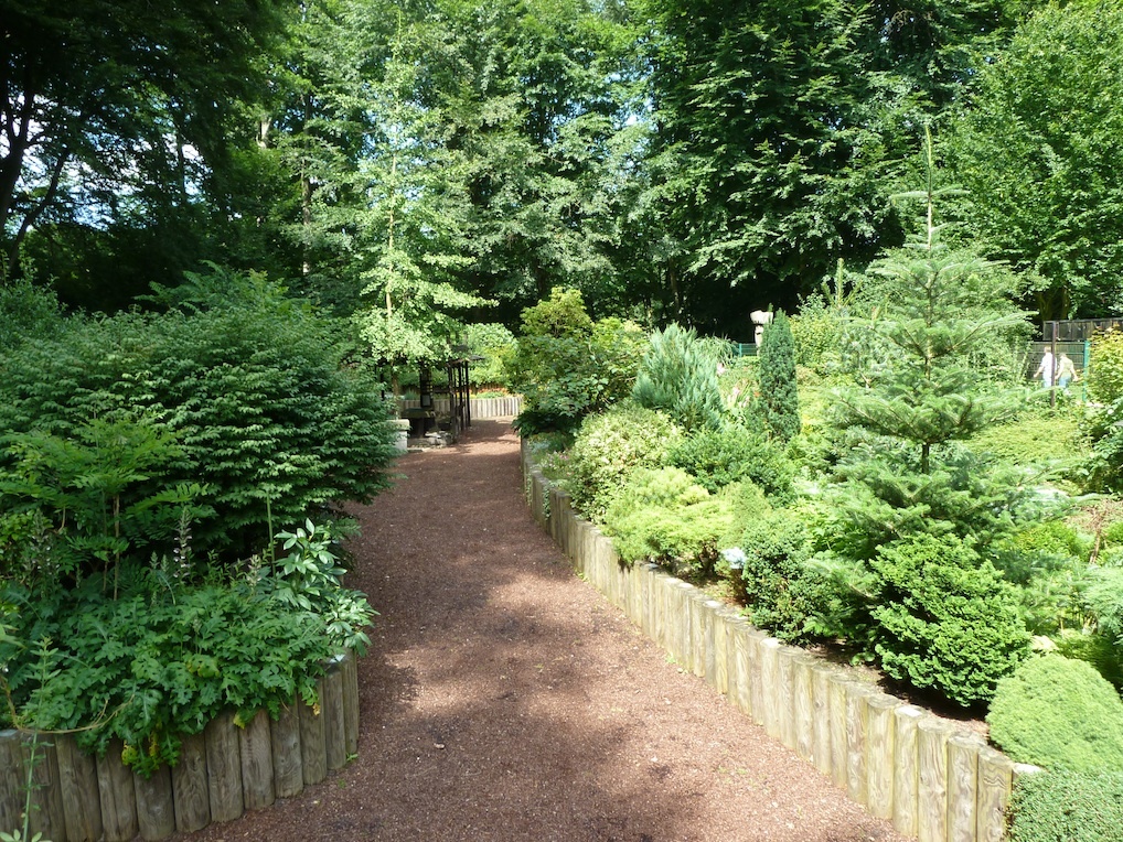 Immergrüne Pflanzen im Blindengarten