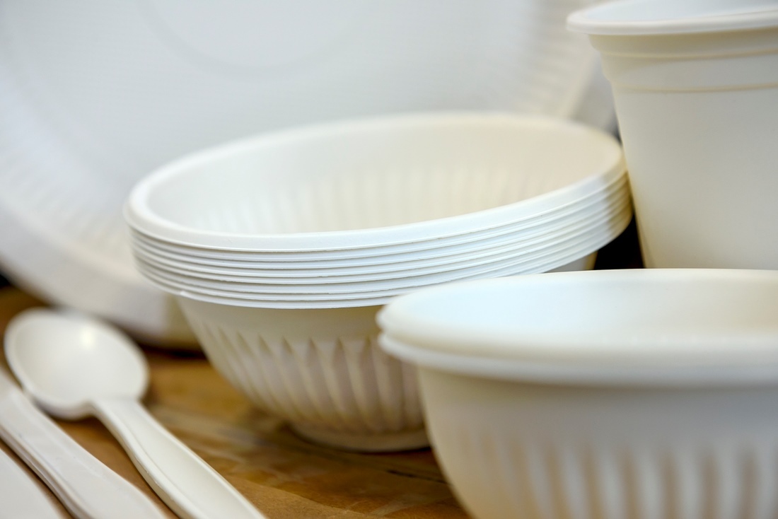 Biodegradable disposable dishes