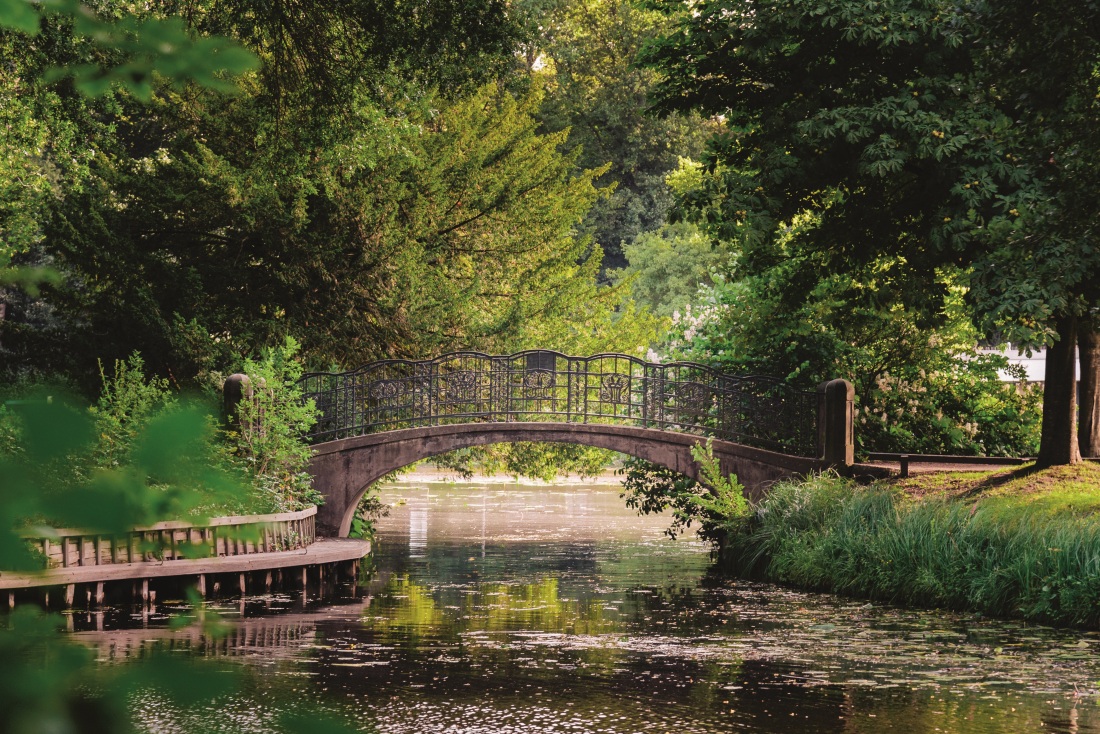Bridge in the Bürgerpark