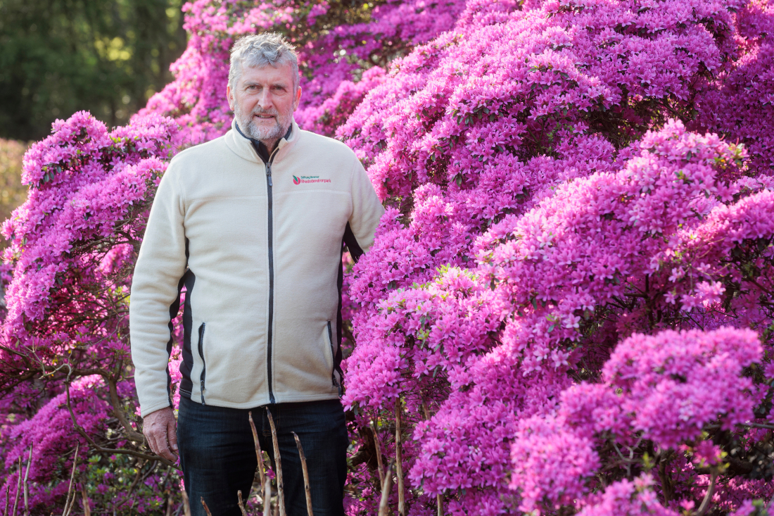 Rhododendron-Park - Parkleiter Dr. Hartwig Schepker