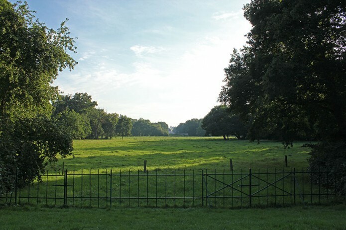 View of meadow