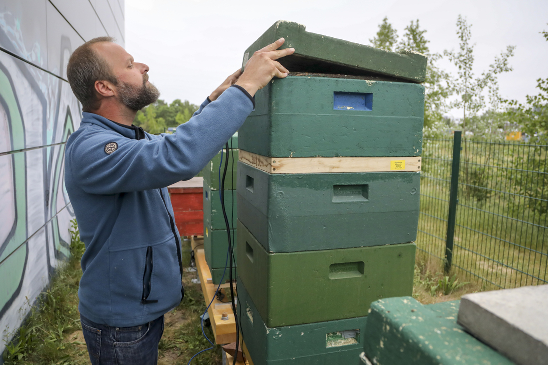 Im Projekt „Bee Observer“ arbeiten Forscher, Imker und Menschen aus der freien Entwicklerszene zusammen, um dem Bienenschwund entgegenzuwirken.