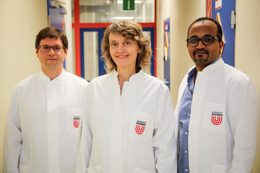Pflanzen mit zwei Vätern + Molekularbiologen der Universität Bremen liefern dafür den Nachweis. Von links: Thomas Nakel, Prof. Dr. Rita Groß-Hardt und Dr. Dawit Tekleyohans