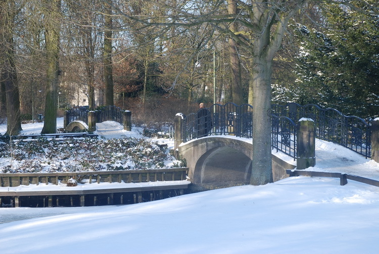 Bürgerpark mit Schneedecke