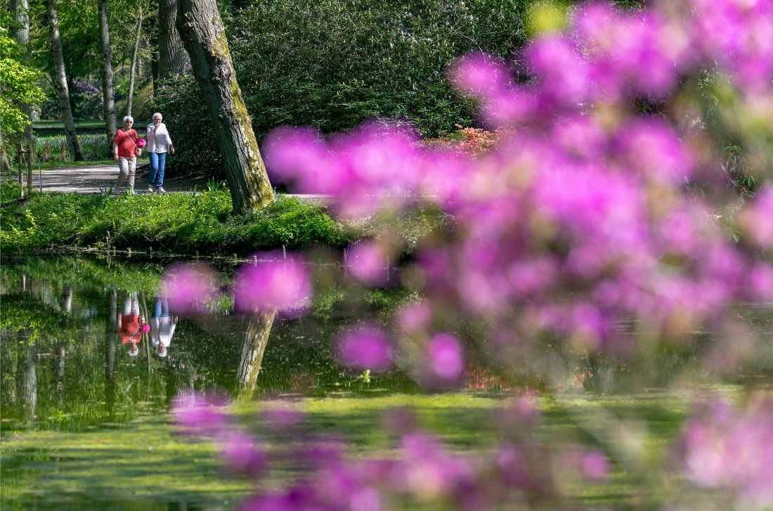 Zwei Frauen spazieren durch den blühenden Rhododendronpark.