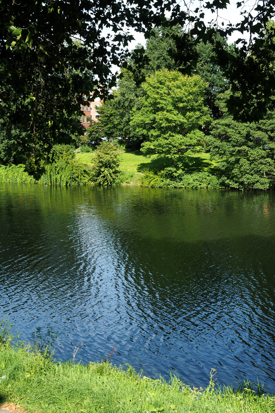 Picknicken am Werdersee