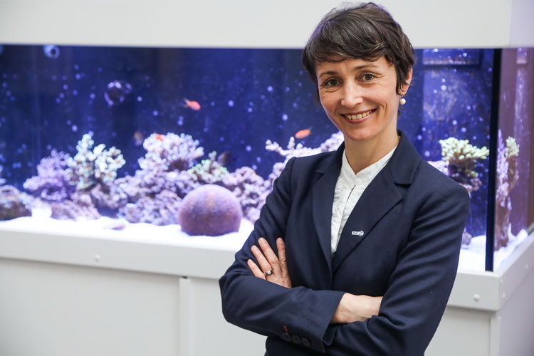 Prof. Dr. Anna-Katharina Hornidge, Leiterin der Abteilung Sozialwissenschaften am Leibniz-Zentrum für Marine Tropenforschung