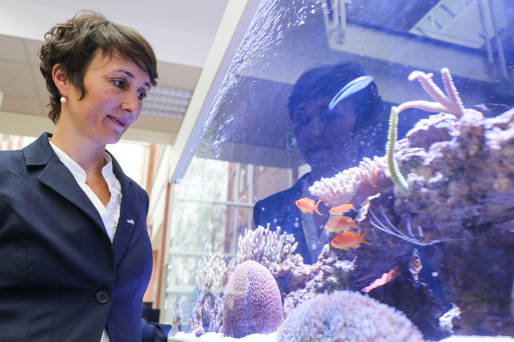  Prof. Dr. Anna-Katharina Hornidge, Leiterin der Abteilung Sozialwissenschaften am Leibniz-Zentrum für Marine Tropenforschung