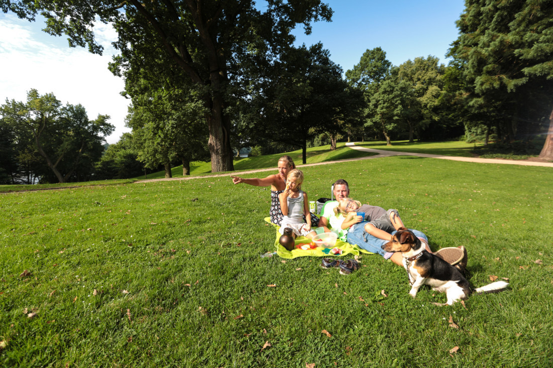 Enjoy the green - for example in reknown Knoops Park Enjoy the green - for example in reknown Knoops Park
