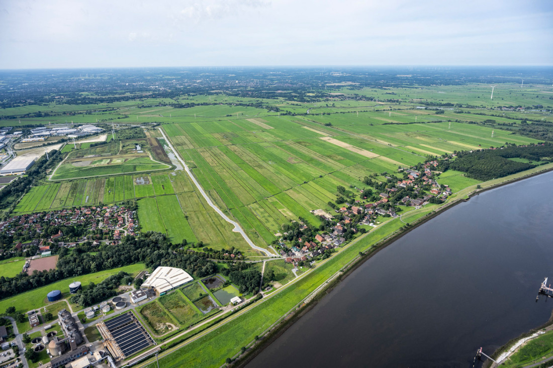 Grüne Wiese