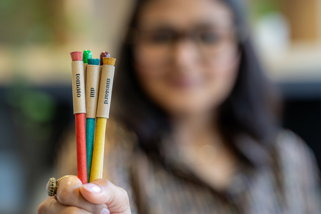 Pencils from Scribbling Seeds