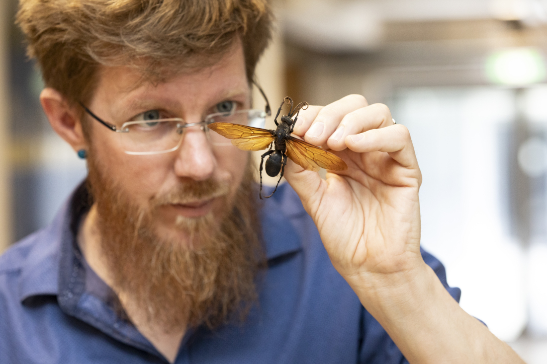 Volker Lohrmann ist einer der gefragtesten Insektenkenner weltweit. 