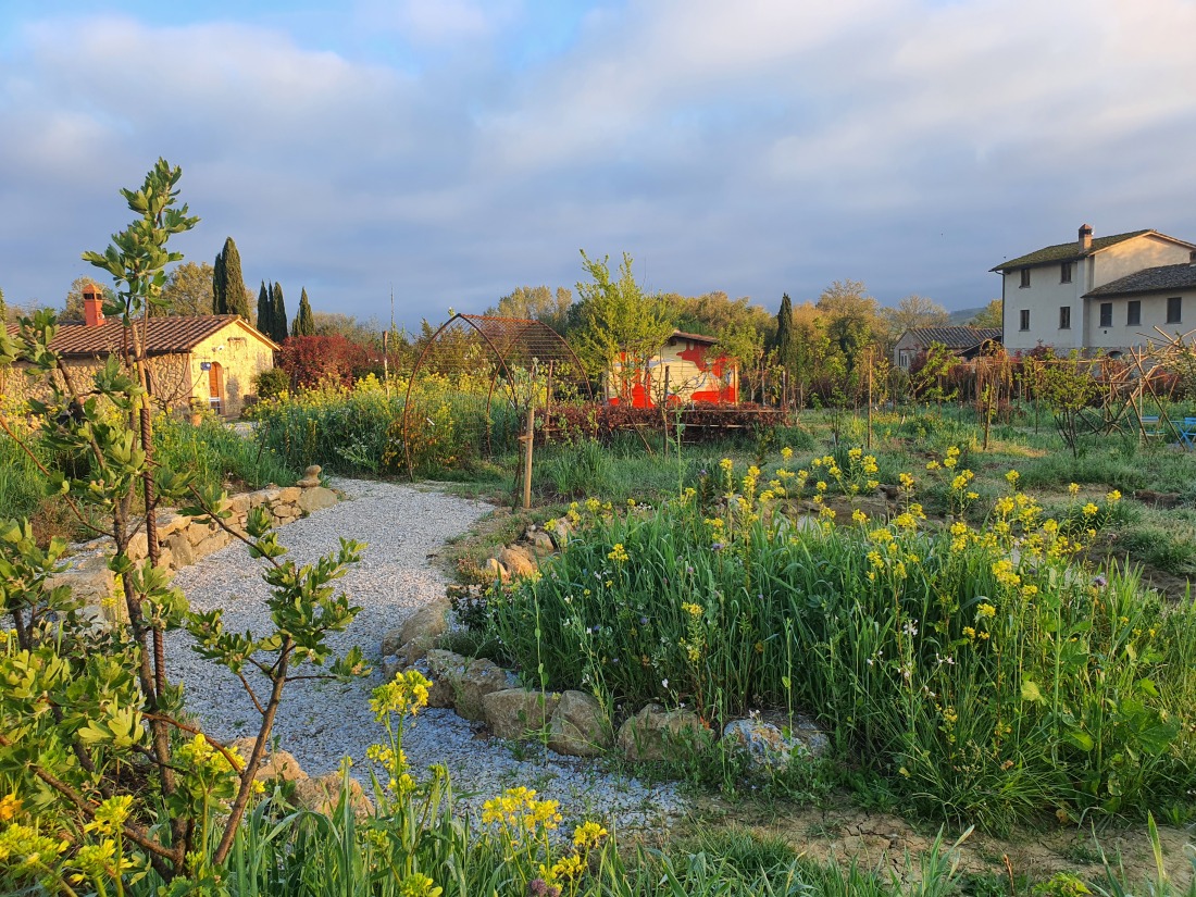 Ein garten in der Toskana: Ein Kiesweg führt durch Beete mit Blumen und kleinen Bäumen. Im Hintergrund stehen Häuser.