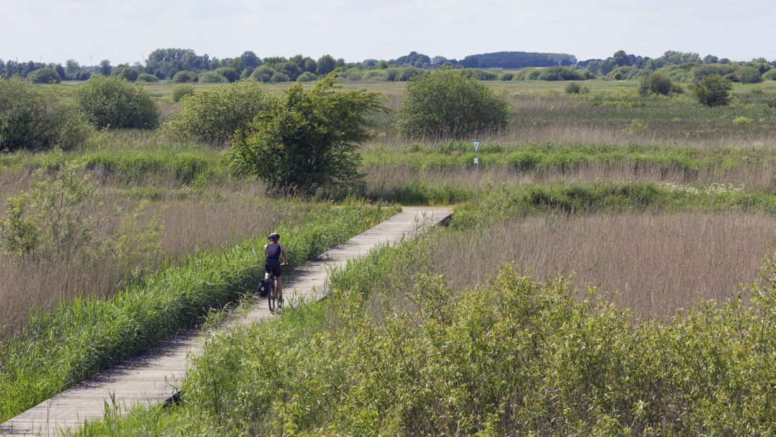 Natur- und Landschaftsschutzgebiet Werderland