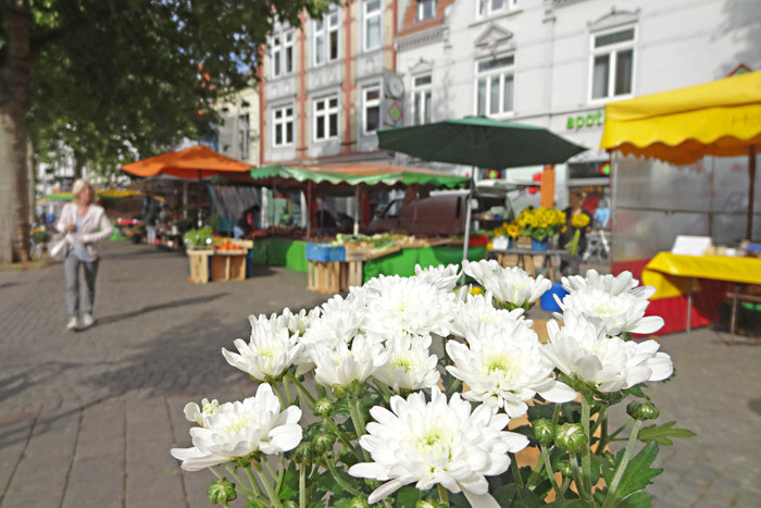 Ziegenmarkt im Viertel