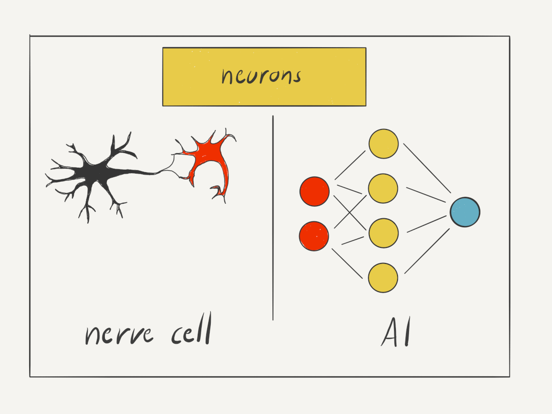 Just like a nerve cell, an artificial neuron processes signals and passes on an output 