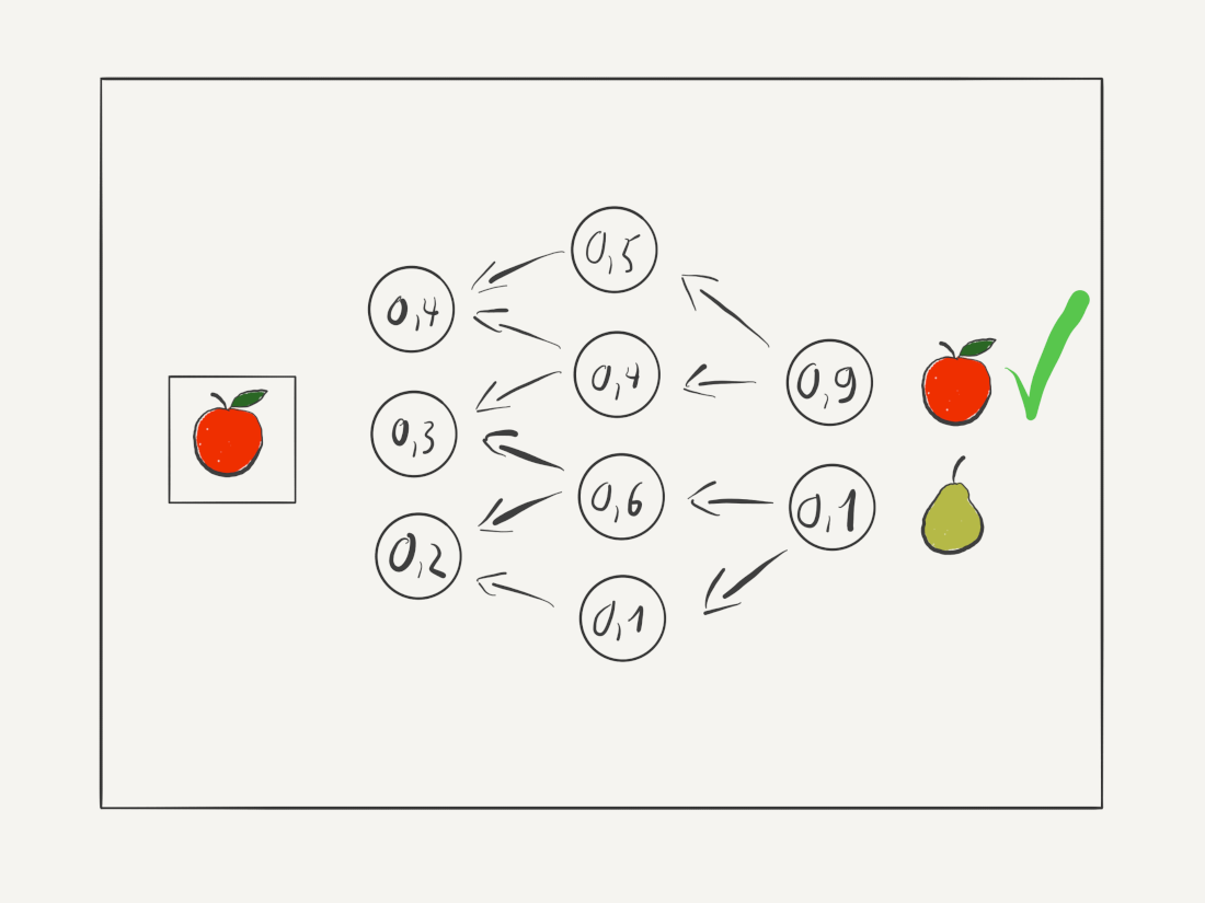 By comparing the result with the target value, the ANN is able to slowly train its neurons to return the correct answer By comparing the result with the target value, the ANN is able to slowly train its neurons to return the correct answer
