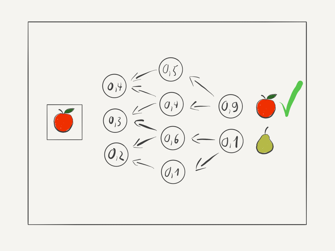 By comparing the result with the target value, the ANN is able to slowly train its neurons to return the correct answer 