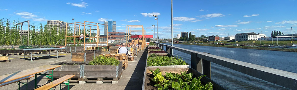 Gemüsebeete und Biergarten nebeneinander