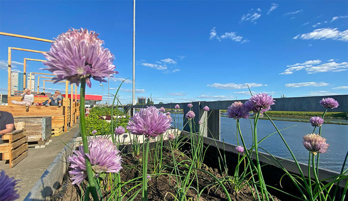 Biergarten der Gemüsewerft mit Blick auf die Weser