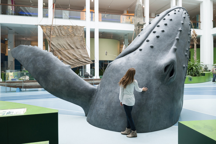 Ein Kind neben einem Walkopf-Modell im Übersee-Museum