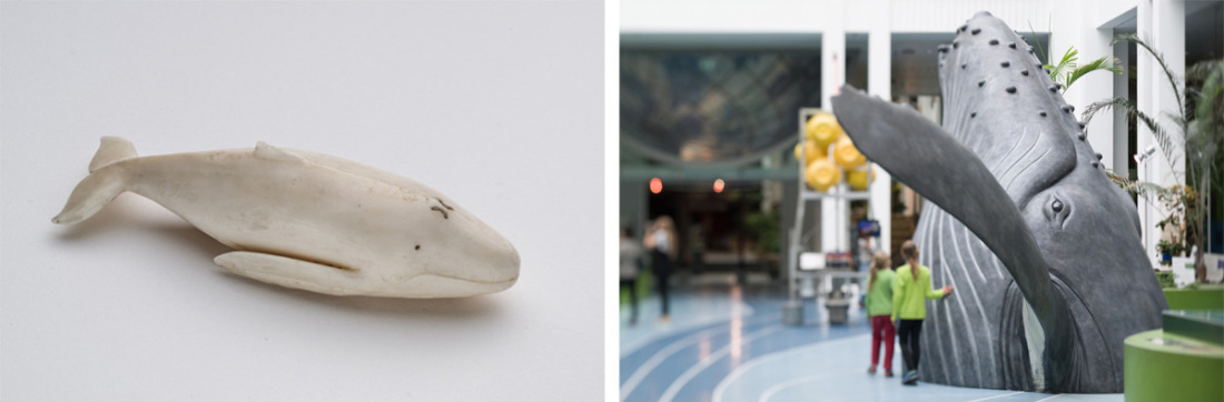 Collage: Wal-Modelle in der Ausstellung im Übersee-Museum
