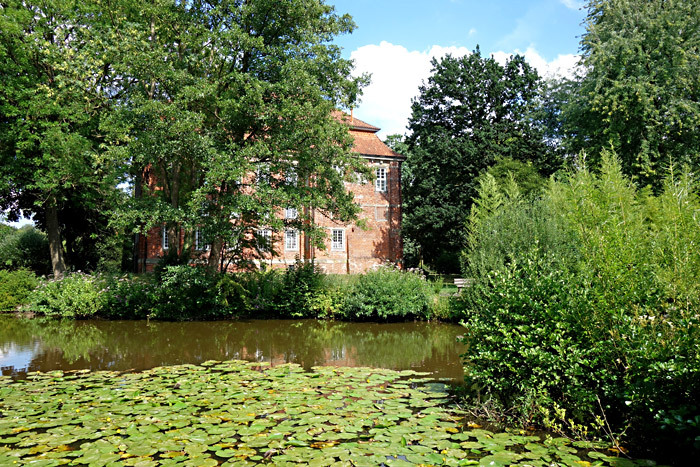 Ein Seerosenteich neben dem Schloss Schönebeck.