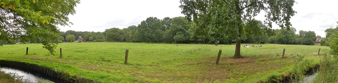 Die Rinderwiese im Bürgerpark