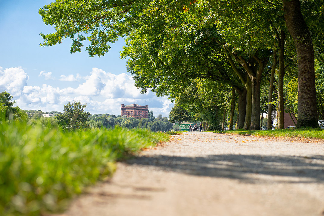 Radweg Radweg