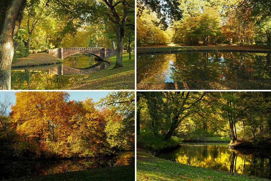 Collage: Spiegelungen der Laubbäume im Wasser