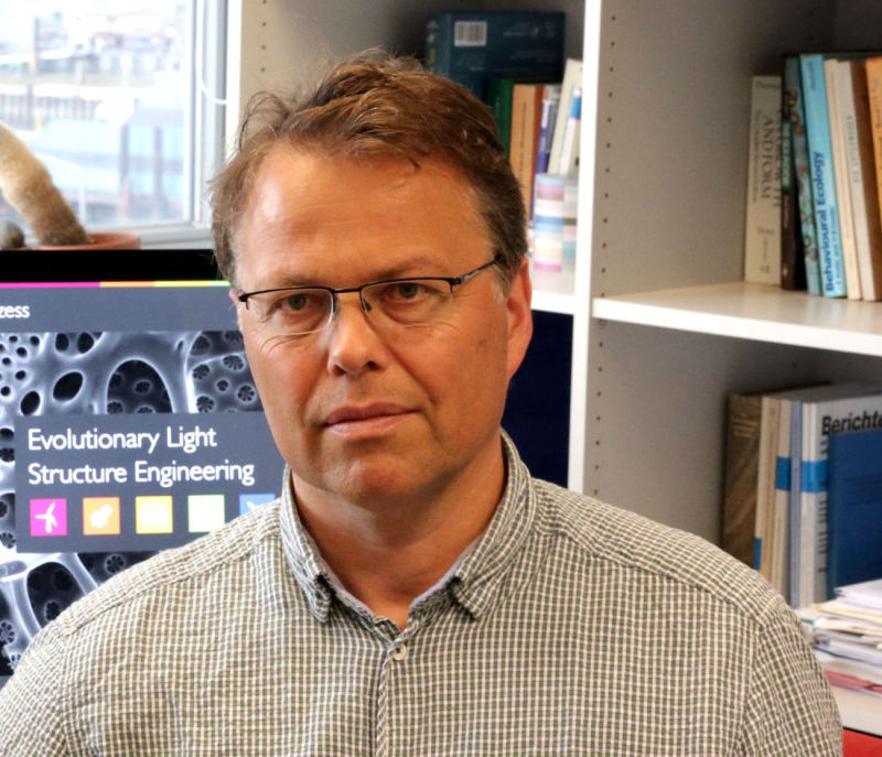Dr. Christian Hamm, Leiter des Bereichs Bionischer Leichtbau und Funktionelle Morphologie am Alfred-Wegener-Institut (AWI)