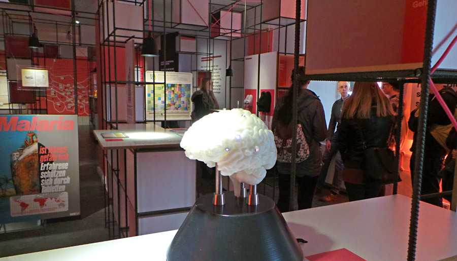 Eini Hirnmodell in der Ausstellung Eini Hirnmodell in der Ausstellung