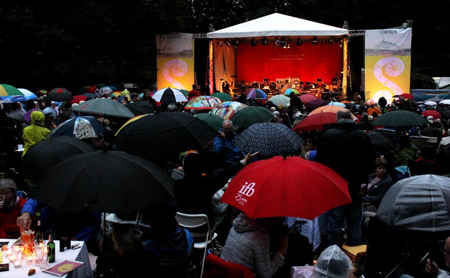 Das Publikum mit Regenschirmen beim Konzert