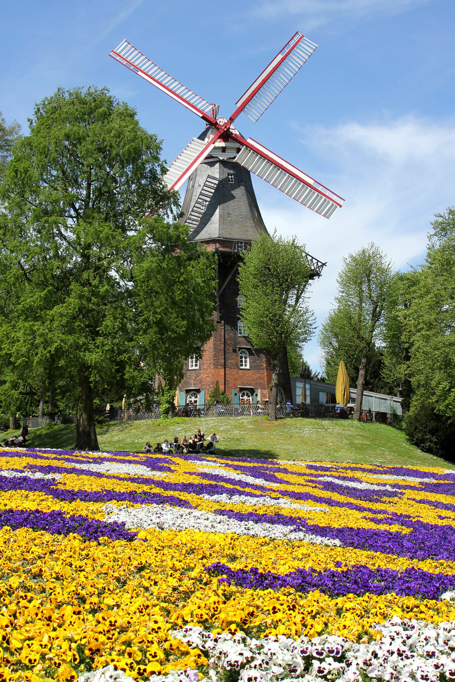 Blumenmeer in lila, gelb und weiß vor der Wallmühle.