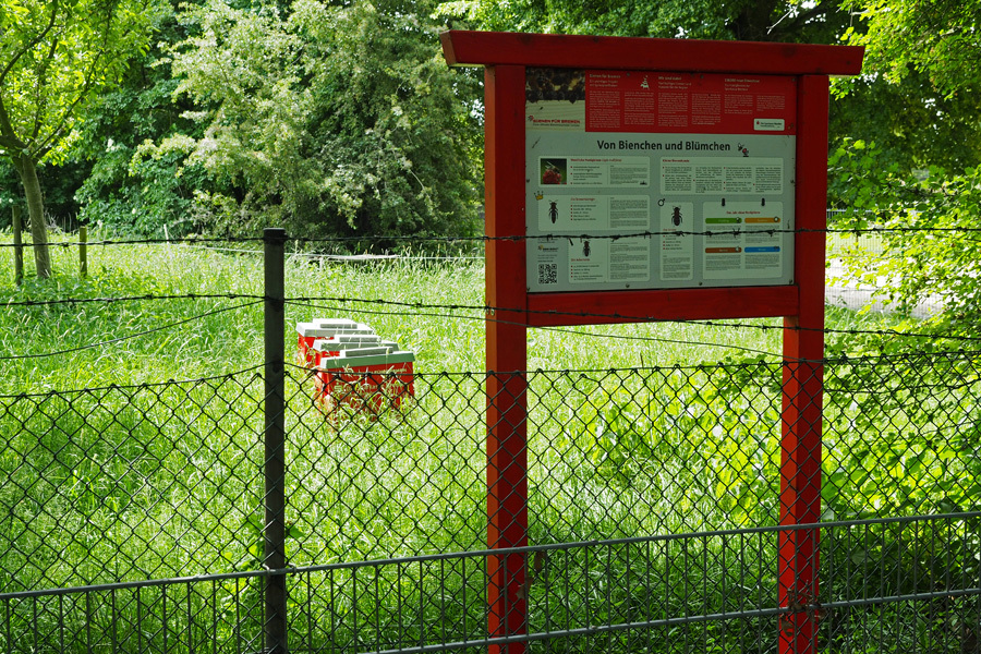 Informationsschild über Bienchen und Blümchen auf einer Wiese