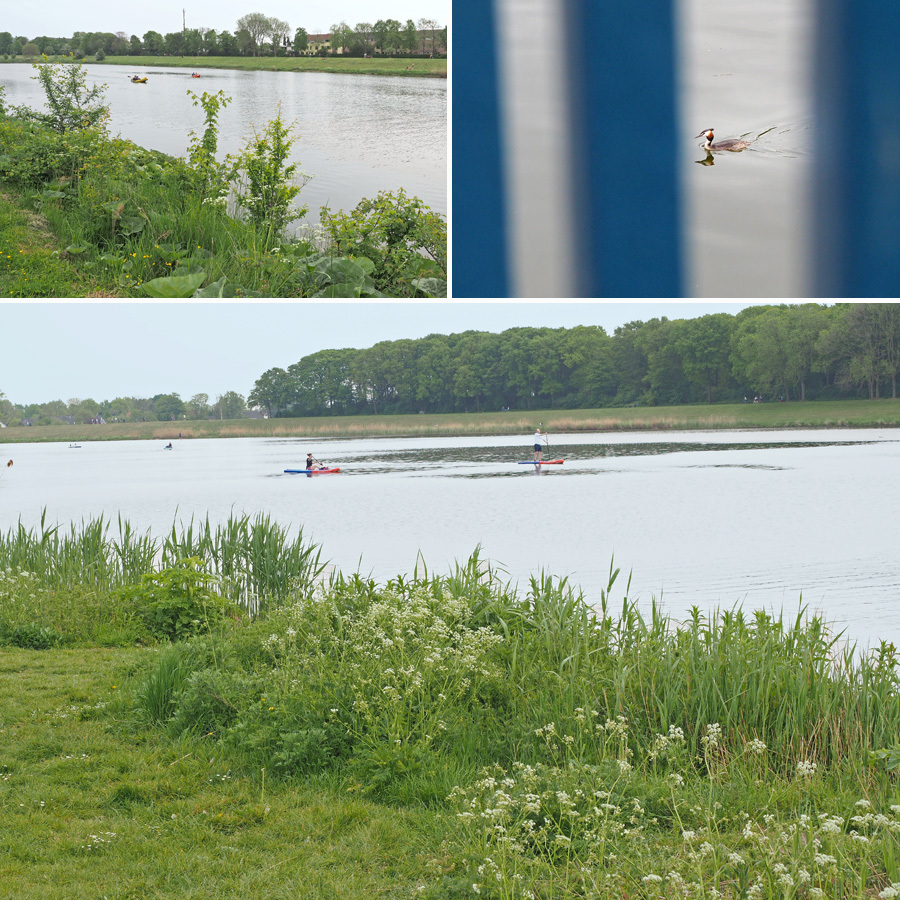 Wassersport und Vögel auf dem Werdersee