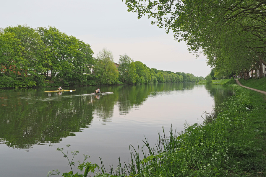 Ruderer auf dem Werdersee