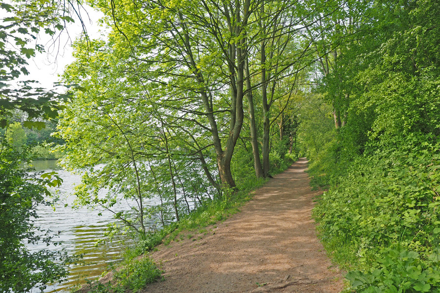 Naturweg am Ufer des Werdersees