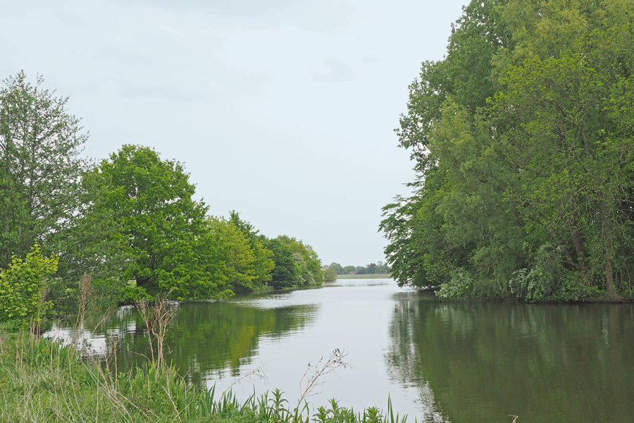 Vogelinsel auf dem Werdersee