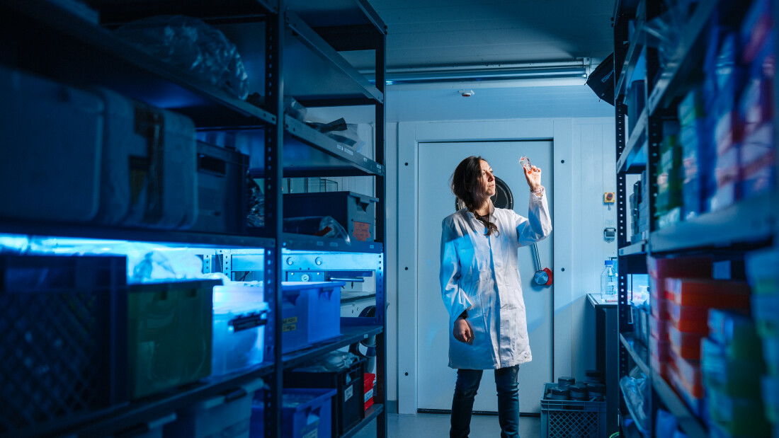 Zwischen zwei Regalreihen steht eine Frau in einem weißen Kittel in einem Laborraum und blickt auf einen gläsernen Behälter, den sie hochhält.